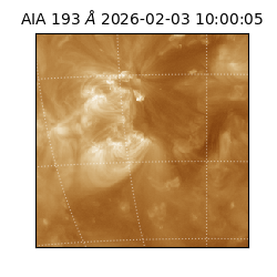 saia - 2026-02-03T10:00:05.916000