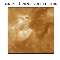 saia - 2026-02-03T11:00:06.232000