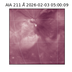 saia - 2026-02-03T05:00:09.626000