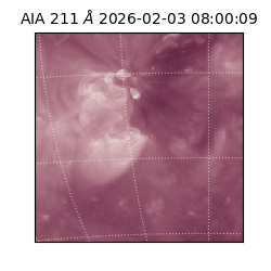 saia - 2026-02-03T08:00:09.631000