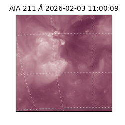 saia - 2026-02-03T11:00:09.634000