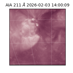 saia - 2026-02-03T14:00:09.619000