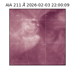 saia - 2026-02-03T22:00:09.633000