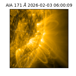 saia - 2026-02-03T06:00:09.342000