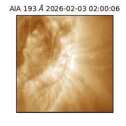 saia - 2026-02-03T02:00:06.431000