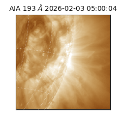 saia - 2026-02-03T05:00:04.838000