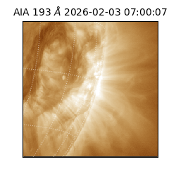 saia - 2026-02-03T07:00:07.033000