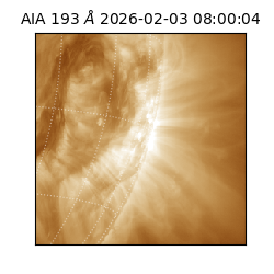 saia - 2026-02-03T08:00:04.843000