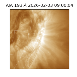 saia - 2026-02-03T09:00:04.835000