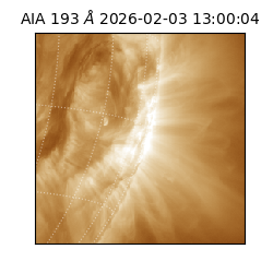 saia - 2026-02-03T13:00:04.843000