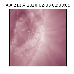 saia - 2026-02-03T02:00:09.632000