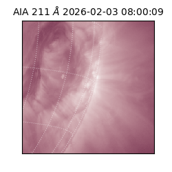 saia - 2026-02-03T08:00:09.631000