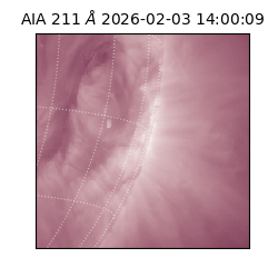 saia - 2026-02-03T14:00:09.619000