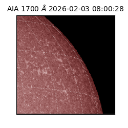 saia - 2026-02-03T08:00:28.710000