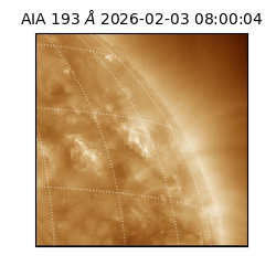 saia - 2026-02-03T08:00:04.843000