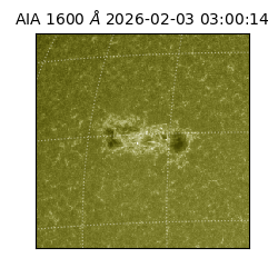 saia - 2026-02-03T03:00:14.126000