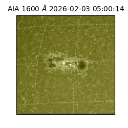 saia - 2026-02-03T05:00:14.118000