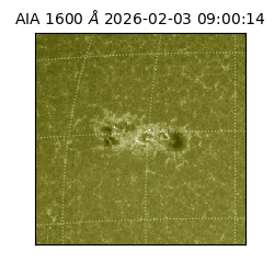 saia - 2026-02-03T09:00:14.118000