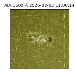 saia - 2026-02-03T11:00:14.126000