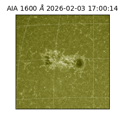 saia - 2026-02-03T17:00:14.122000
