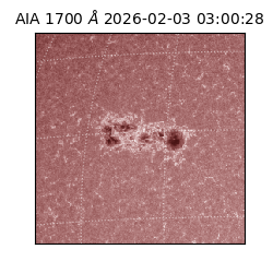 saia - 2026-02-03T03:00:28.726000