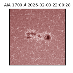 saia - 2026-02-03T22:00:28.734000