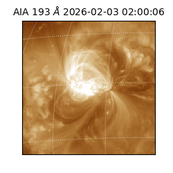 saia - 2026-02-03T02:00:06.431000