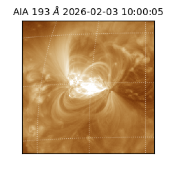 saia - 2026-02-03T10:00:05.916000