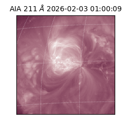 saia - 2026-02-03T01:00:09.633000
