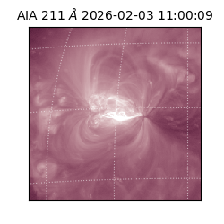 saia - 2026-02-03T11:00:09.634000