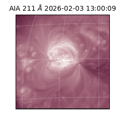 saia - 2026-02-03T13:00:09.626000