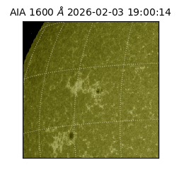 saia - 2026-02-03T19:00:14.126000