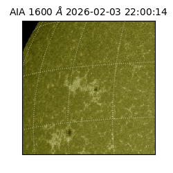 saia - 2026-02-03T22:00:14.126000