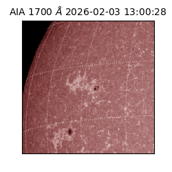 saia - 2026-02-03T13:00:28.719000