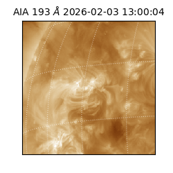 saia - 2026-02-03T13:00:04.843000