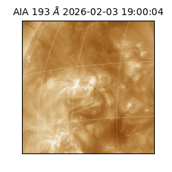 saia - 2026-02-03T19:00:04.843000