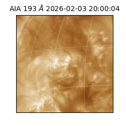 saia - 2026-02-03T20:00:04.843000