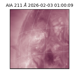 saia - 2026-02-03T01:00:09.633000