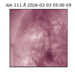 saia - 2026-02-03T05:00:09.626000