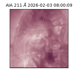 saia - 2026-02-03T08:00:09.631000