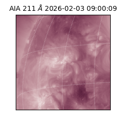 saia - 2026-02-03T09:00:09.625000