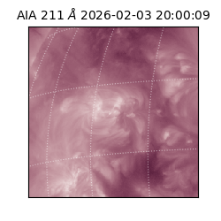 saia - 2026-02-03T20:00:09.633000