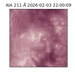 saia - 2026-02-03T22:00:09.633000