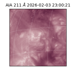 saia - 2026-02-03T23:00:21.631000
