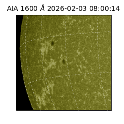 saia - 2026-02-03T08:00:14.126000