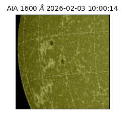 saia - 2026-02-03T10:00:14.126000