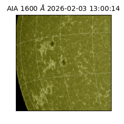 saia - 2026-02-03T13:00:14.125000