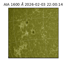 saia - 2026-02-03T22:00:14.126000