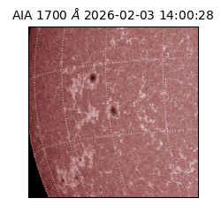 saia - 2026-02-03T14:00:28.718000