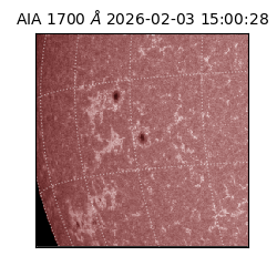 saia - 2026-02-03T15:00:28.717000